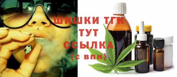 spice Богданович