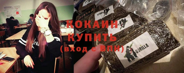 spice Богданович