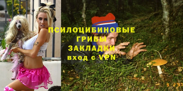 гашик Волосово