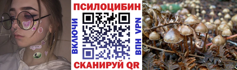 Псилоцибиновые грибы Psilocybe  ссылка на мегу онион  Вельск 